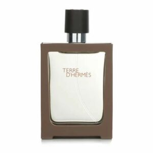 Hermès Terre d'Hermès Eau de Toilette 100ml Spray