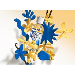 Roger & Gallet Vétyver Eau Parfumée 100ml Splash