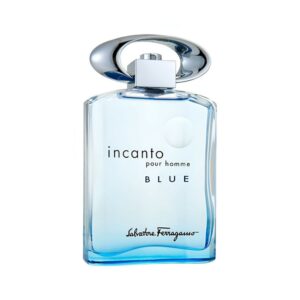 Salvatore Ferragamo Incanto Pour Homme Blue Eau de Toilette 100ml Spray