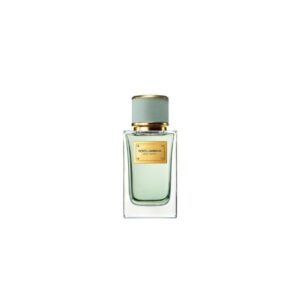 Dolce & Gabbana Velvet Infusion Eau de Parfum 100ml Spray